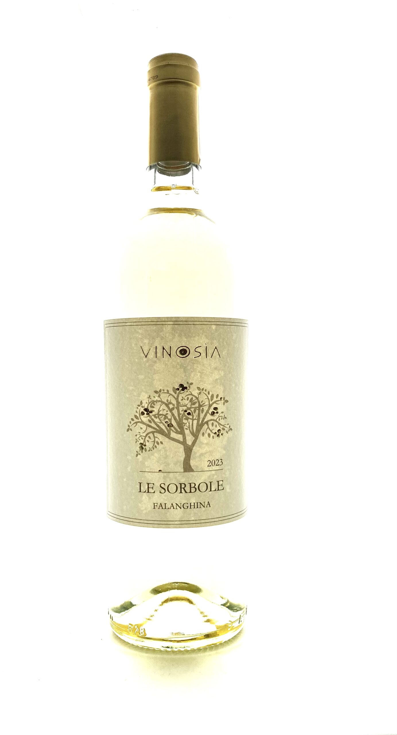 Le Sorbole, Falanghina 2023 Vinosia